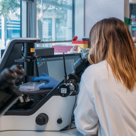 common:progetti.ricerca