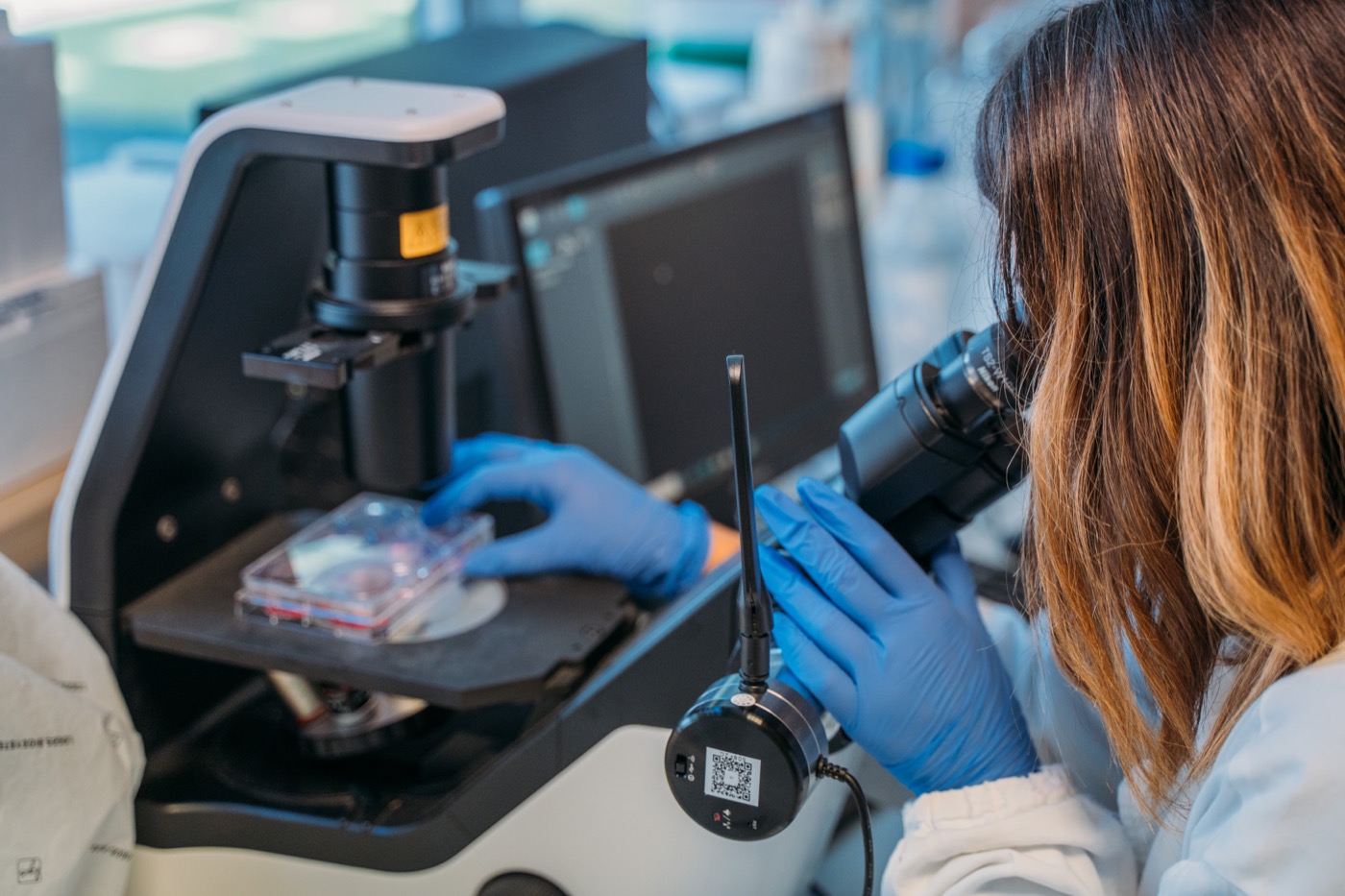 Supporta la ricerca scientifica con Plastic Free ODV Onlus