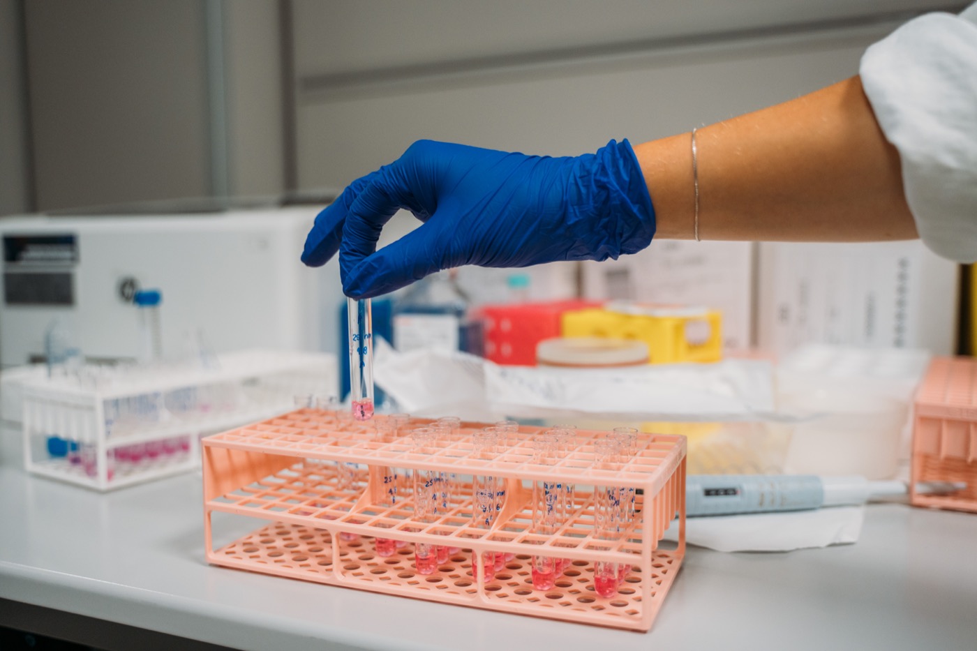 Supporta la ricerca scientifica con Plastic Free ODV Onlus