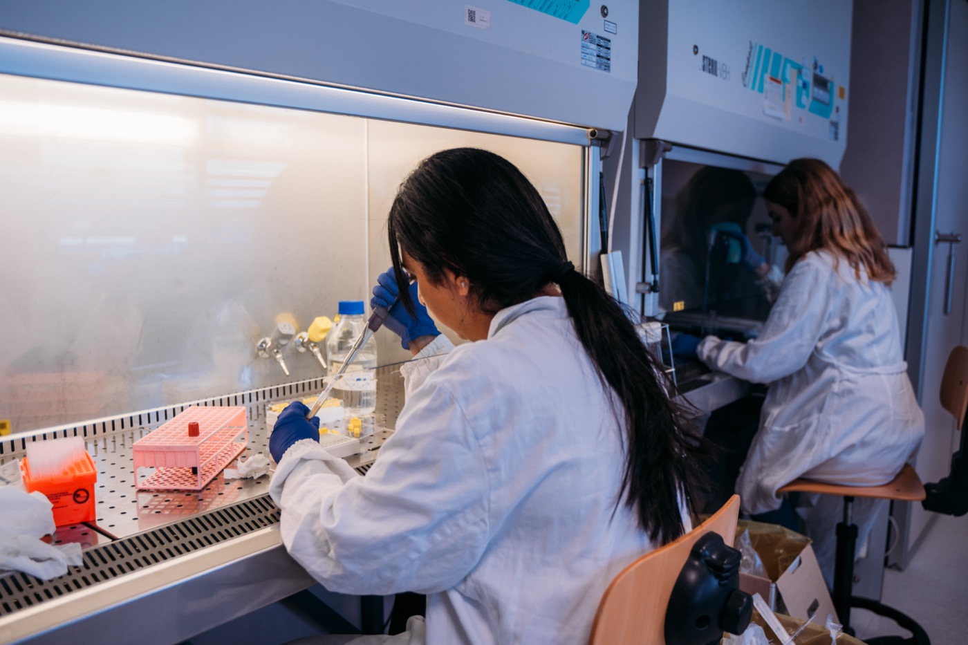 Supporta la ricerca scientifica con Plastic Free ODV Onlus