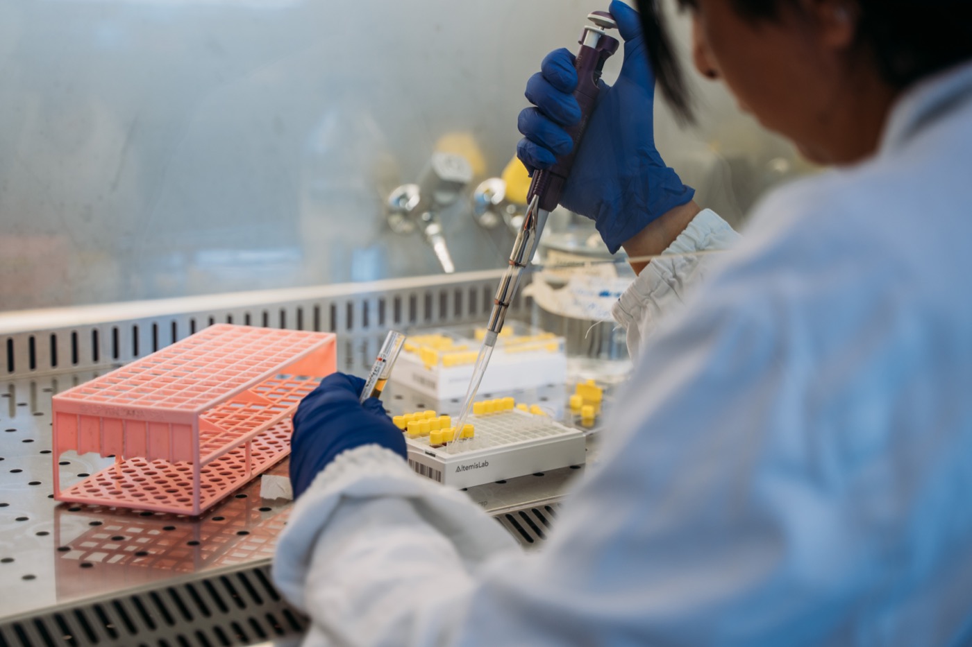 Supporta la ricerca scientifica con Plastic Free ODV Onlus